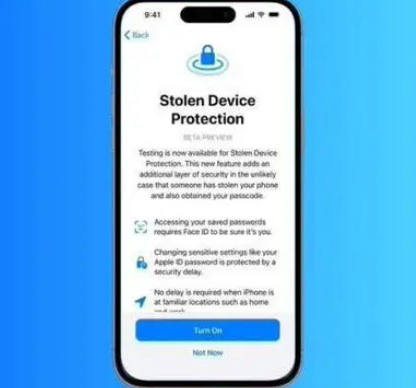 仁化苹果授权维修店分享被盗设备保护功能开启方法 