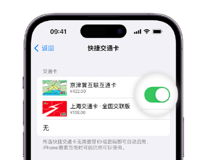 仁化apple维修点分享iPhone上更换Apple Pay快捷交通卡手绘卡面 