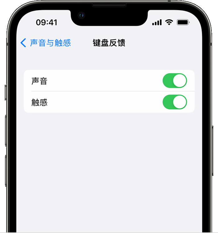 仁化苹果14维修店分享如何在 iPhone 14 机型中使用触感键盘 