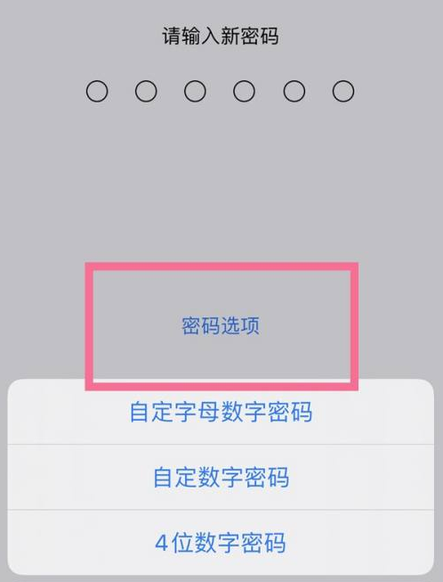 仁化苹果14维修分享iPhone 14plus设置密码的方法 