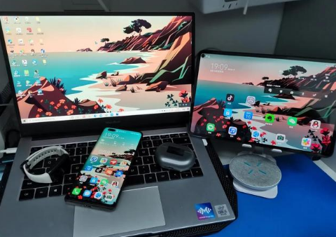 仁化苹果手机维修分享为什么iPad屏幕更大价格却比iPhone低 